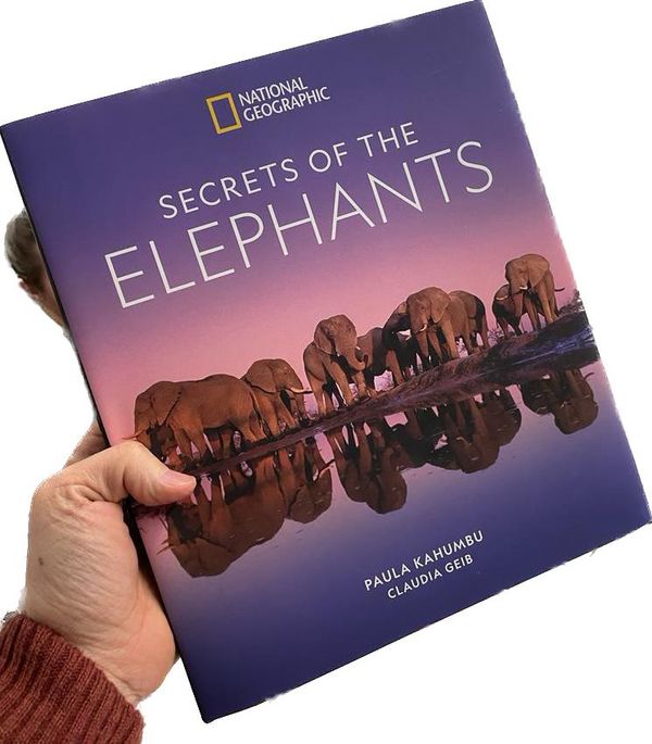 Secrets of the Elephants Book