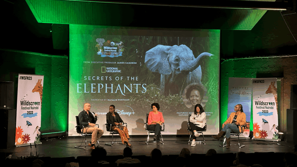 Wildscreen Nairobi reveals an Untapped Goldmine of Opportunities for African wildlife filmmakers